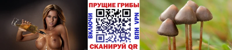 Псилоцибиновые грибы мухоморы  закладка  Котлас 