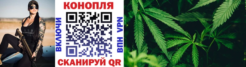 даркнет сайт  Котлас  Конопля планчик 